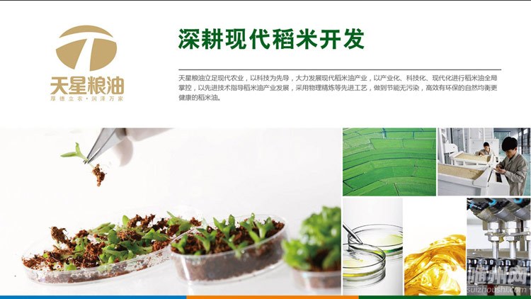 幻灯片11.jpg