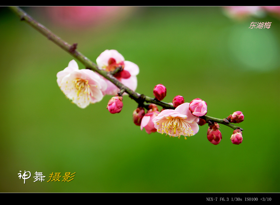 DSC00577_副本.jpg
