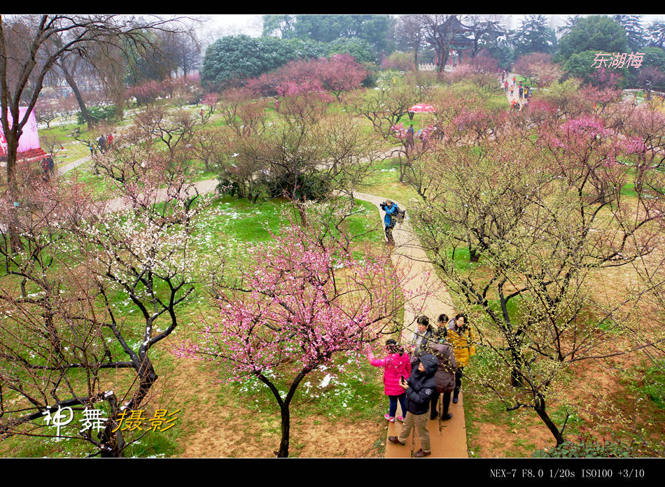 DSC00565_副本.jpg