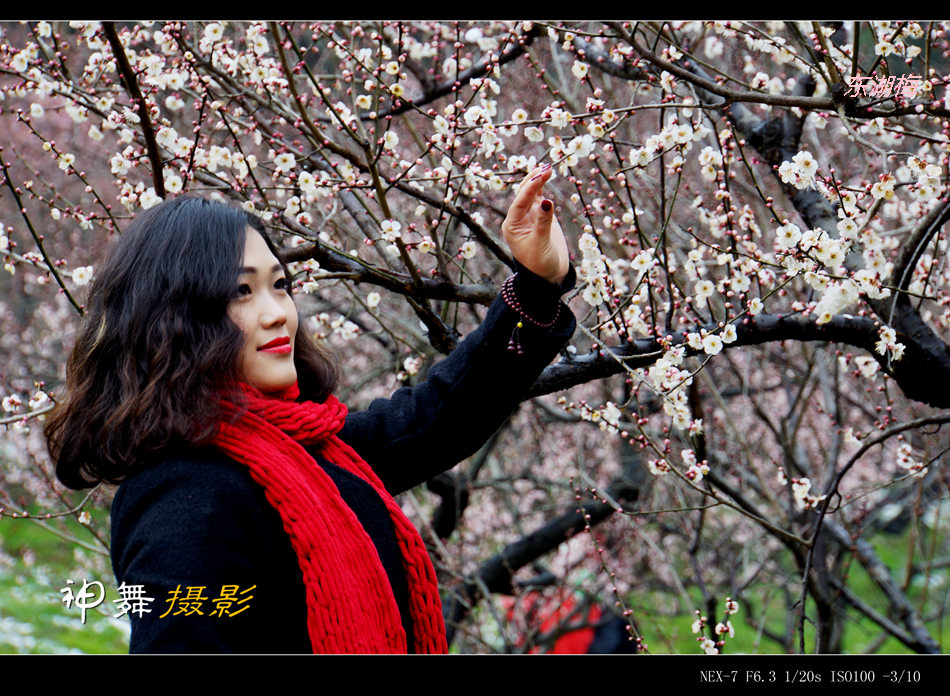 DSC00590_副本.jpg