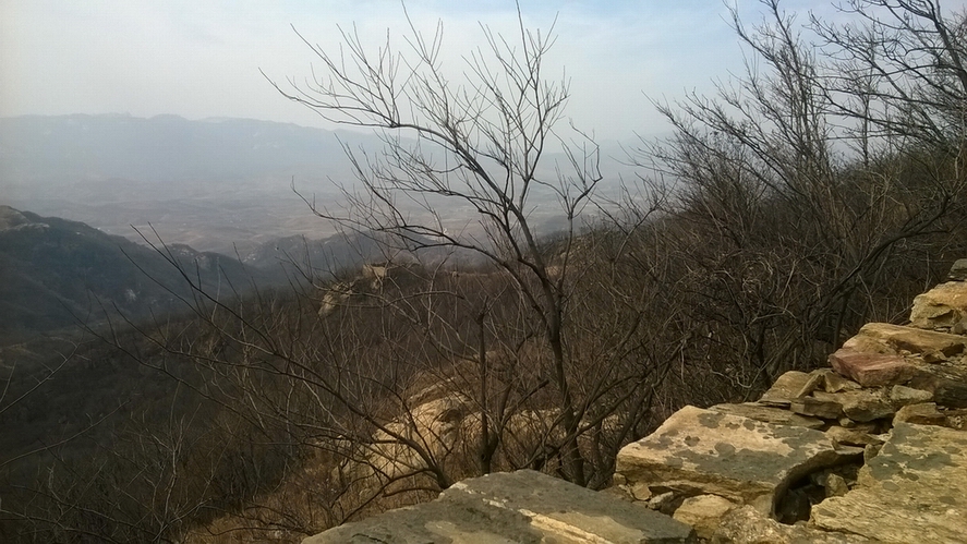 WP_20150301_004-1.jpg