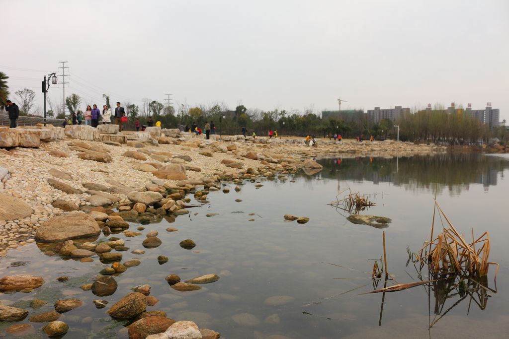 2015֮ (1).JPG