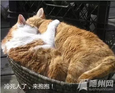 YYR3HMB([W8]ZY7}(Q[Y4U1_conew1.jpg