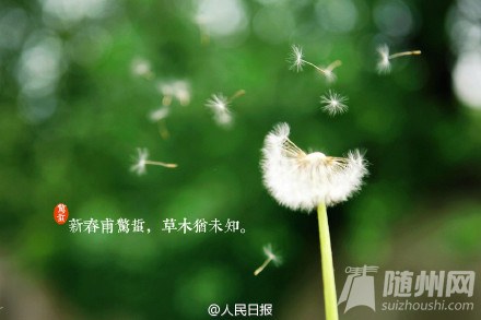 惊蛰