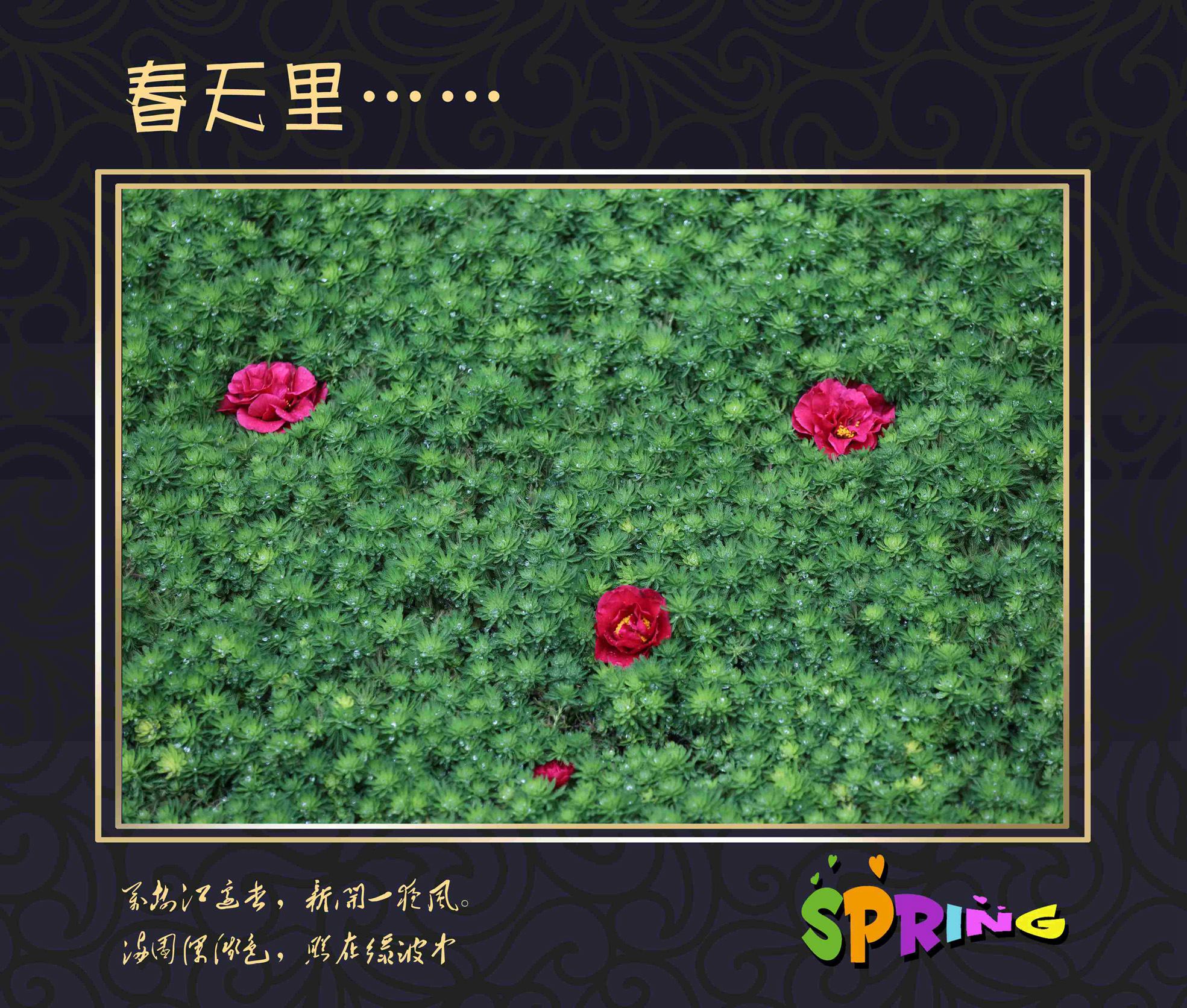 005.jpg