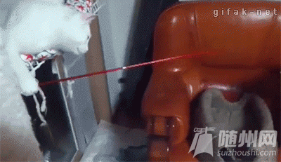 4_conew1.gif