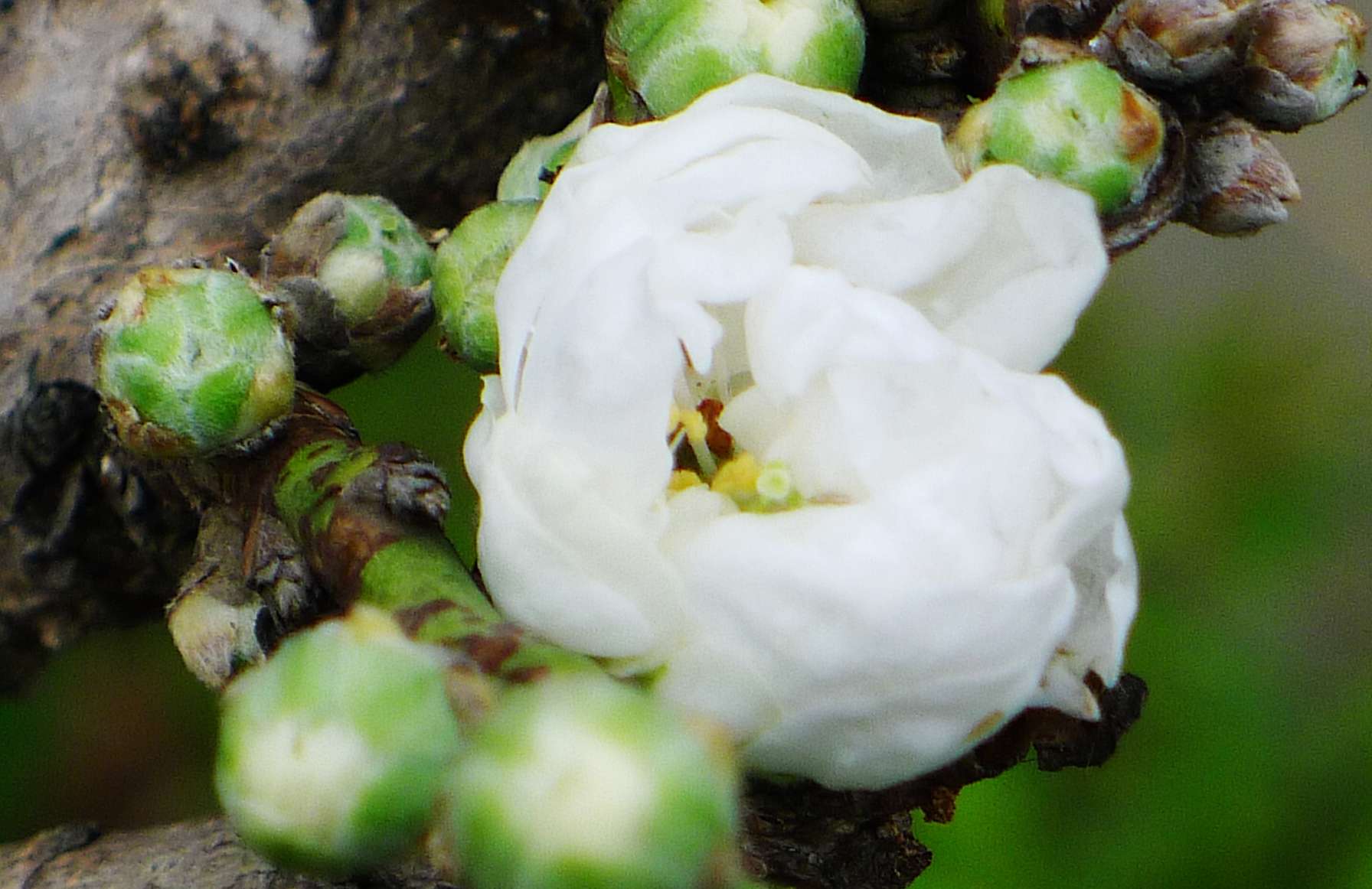 P1040817_.jpg