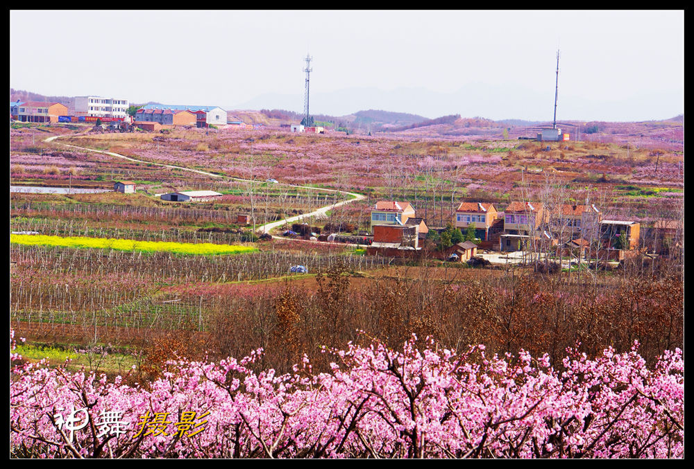 DSC01579_.jpg