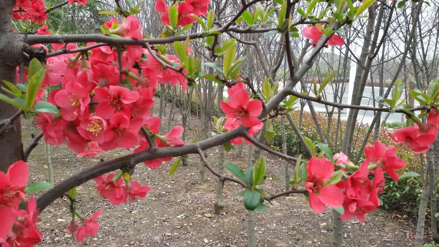 QQͼƬ20150324203419.jpg