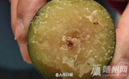 发红甘蔗吃不得！剧毒！