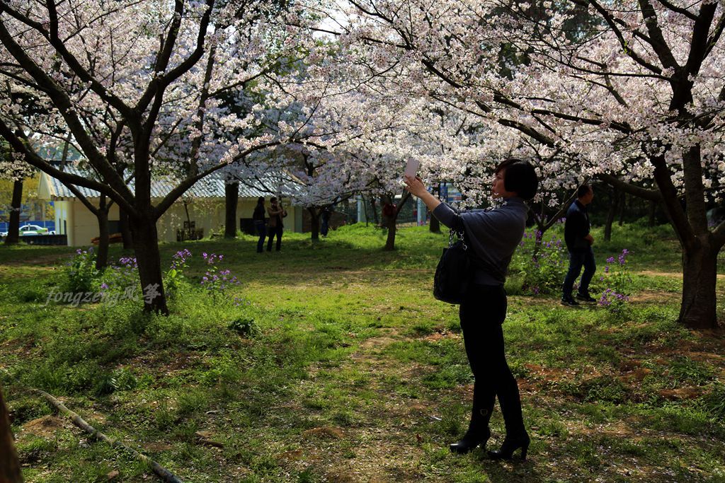QQͼƬ20150328081819.jpg