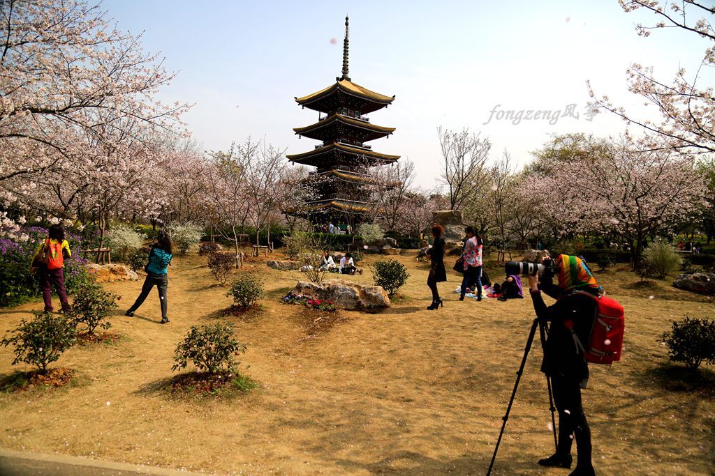QQͼƬ20150328081826.jpg