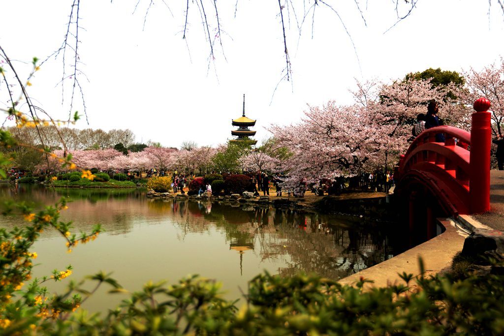 QQͼƬ20150328081832.jpg