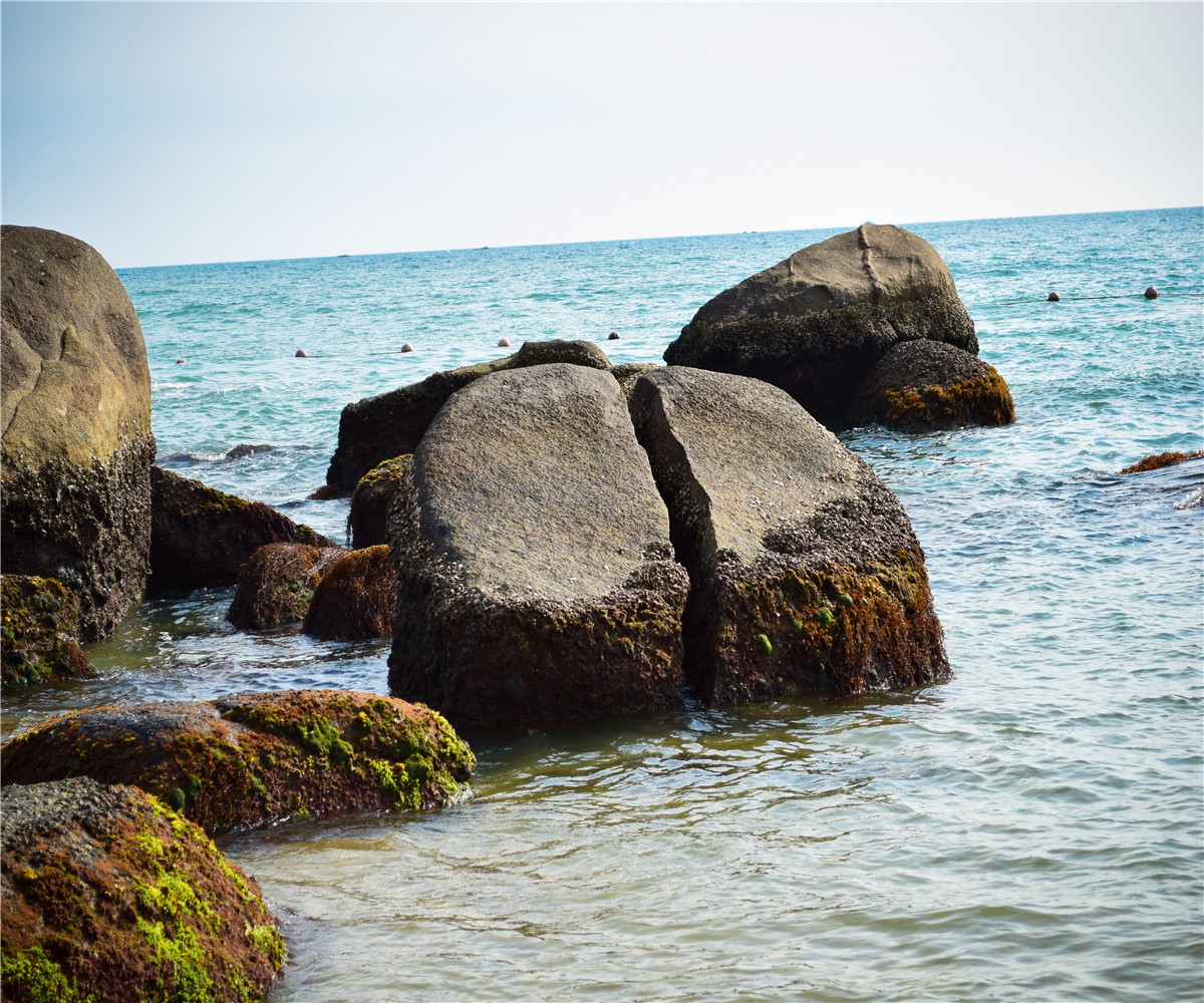 DSC_1165.jpg