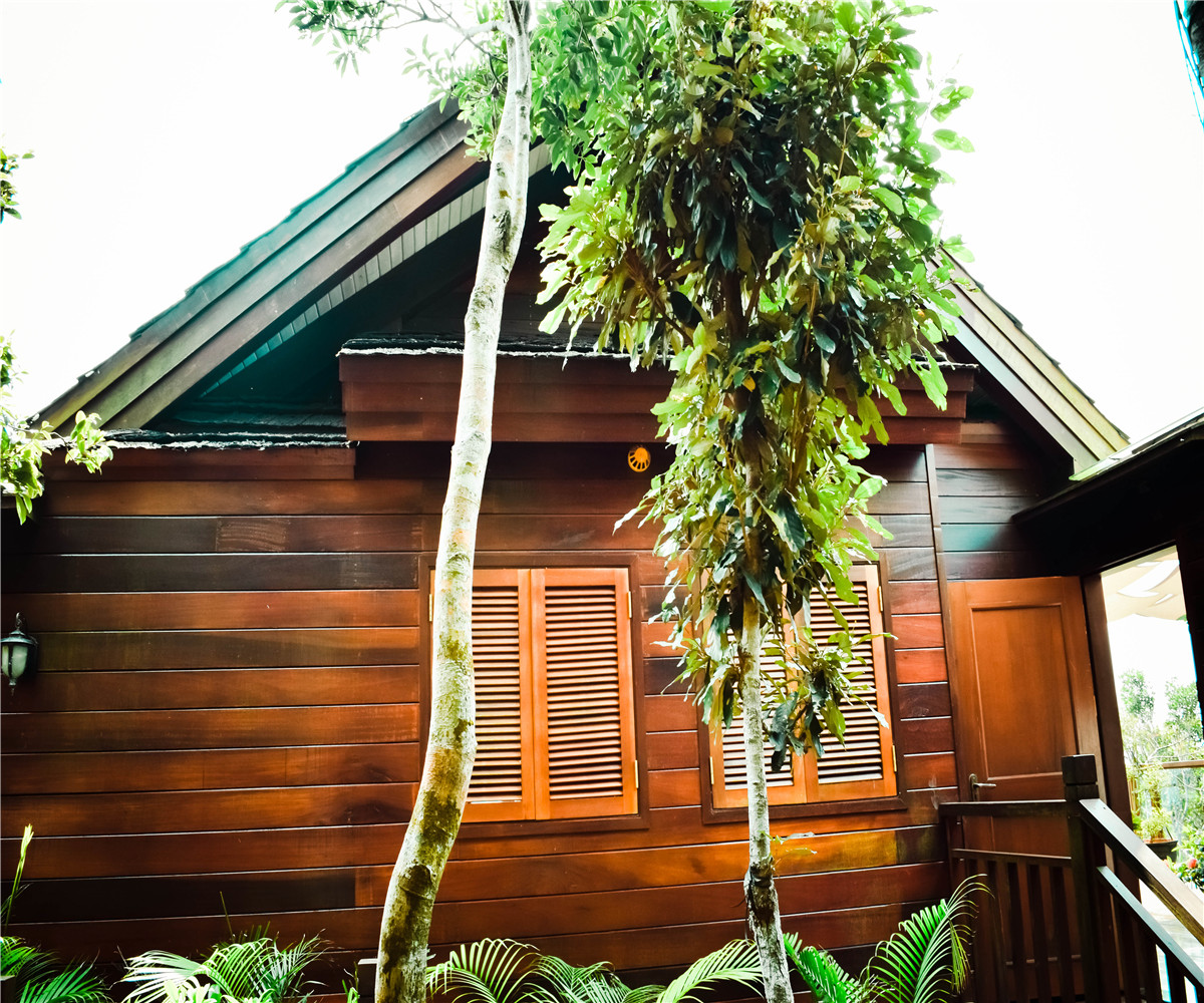 DSC_1429.jpg