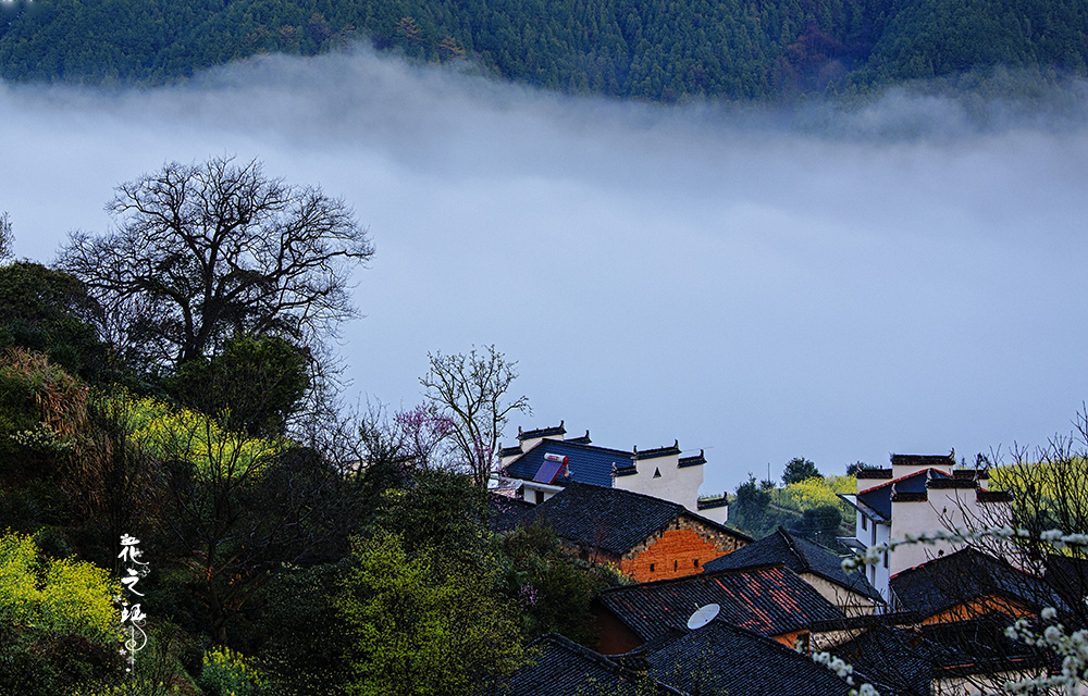 _R8A8200111.jpg