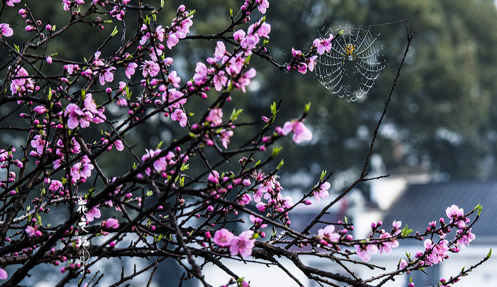 _R8A8315112.jpg