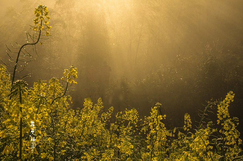 _R8A8453113.jpg