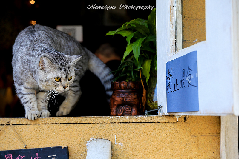 IMG_0747-20A.jpg