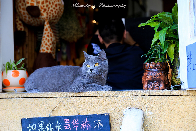IMG_0755-24A.jpg