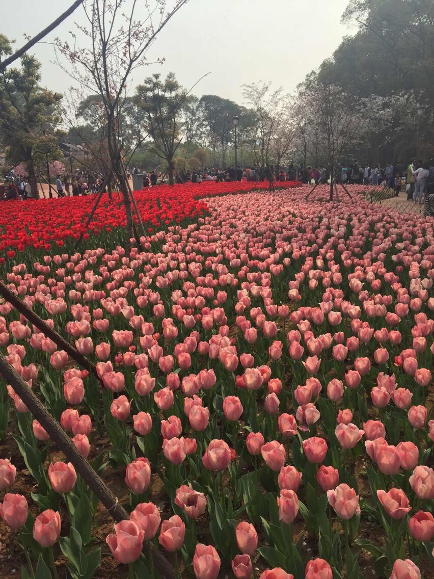 QQͼƬ20150402145106.jpg