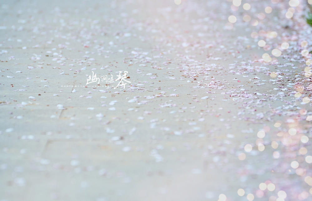 ӣѩ DSC_5956.jpg