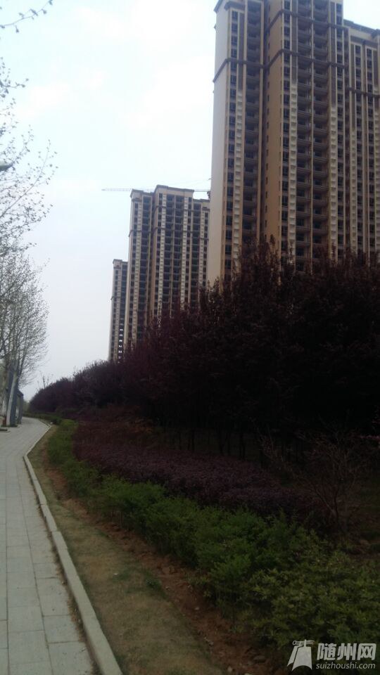 QQ图片20150405155258.jpg