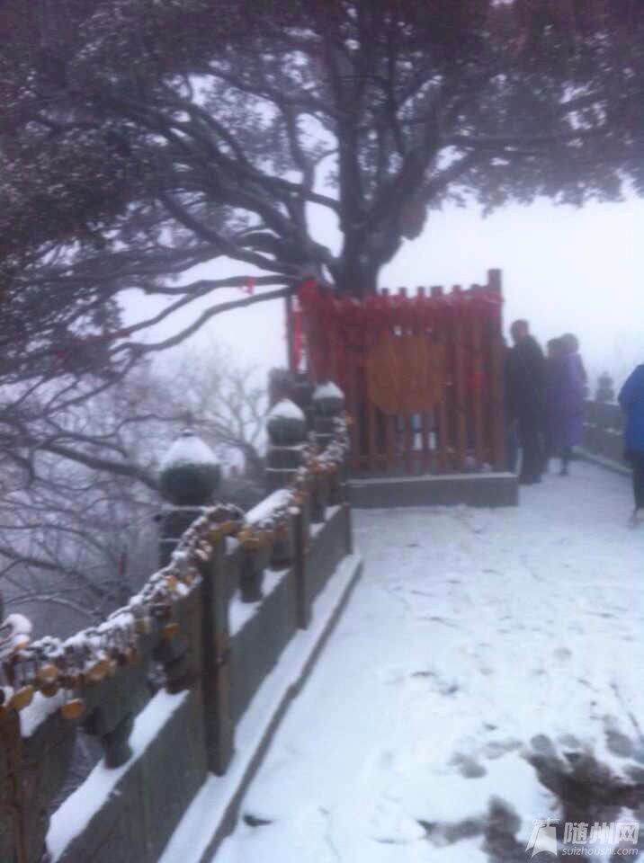 QQͼƬ20150407222141.jpg