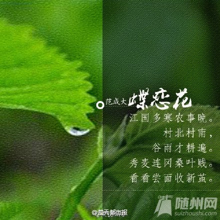 今日谷雨