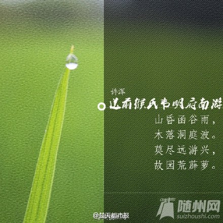 今日谷雨
