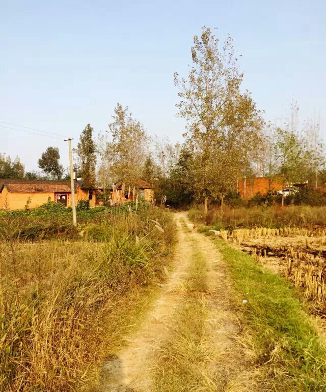 1051706642-1.jpg