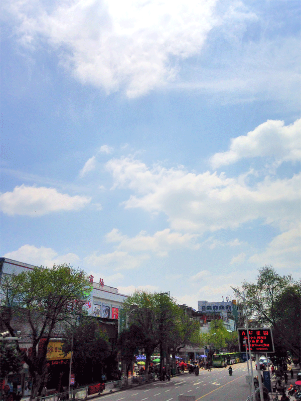 8.gif