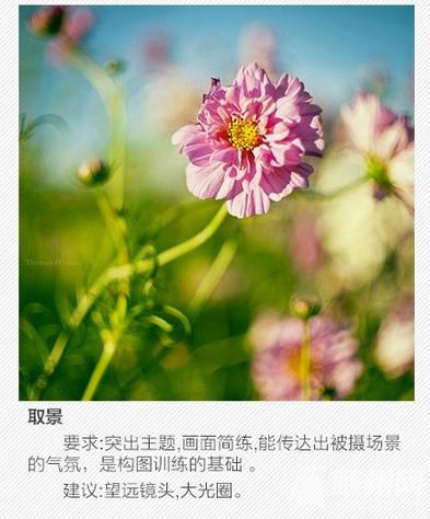 这些关于单反的常识，你都了解吗？
