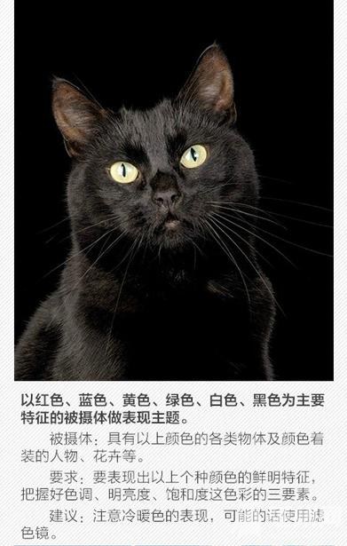 这些关于单反的常识，你都了解吗？