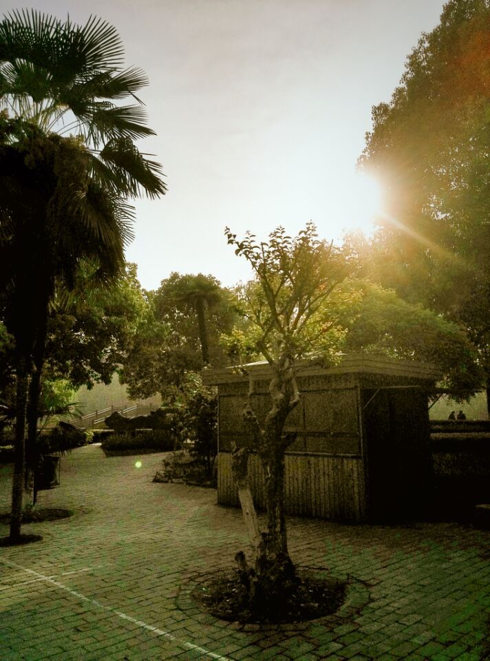 QQͼƬ20150429175123.jpg