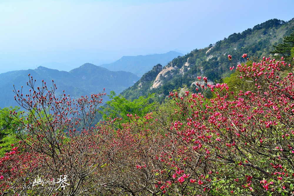 DSC_7871_20150425_153310.jpg