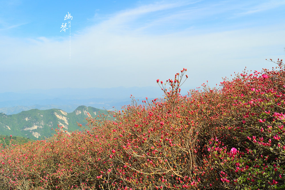 DSC_7912_20150425_154241.jpg