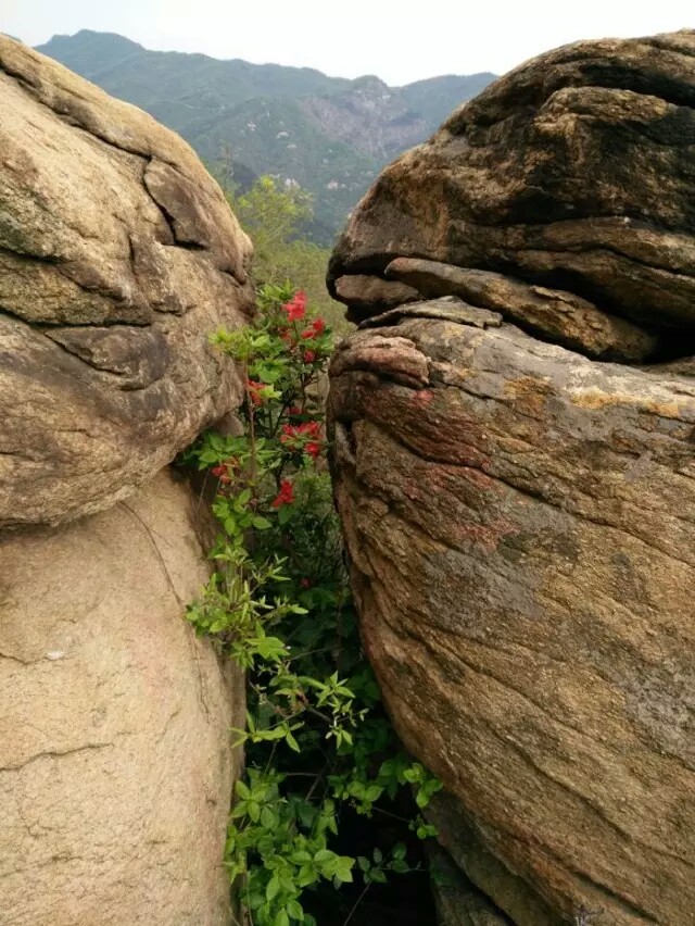 ½ļ (2)1430707821606.jpeg