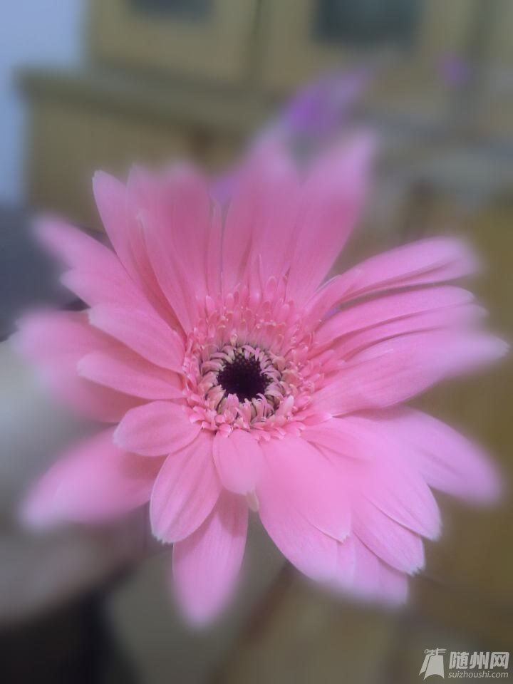 QQ图片20150512145805--1_conew1.jpg