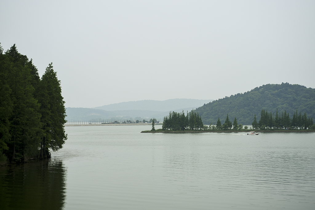 DSC_3489a.jpg