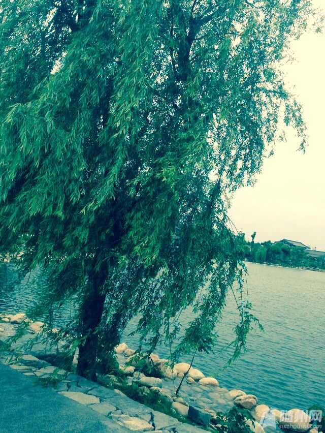 QQ图片20150514160854.jpg