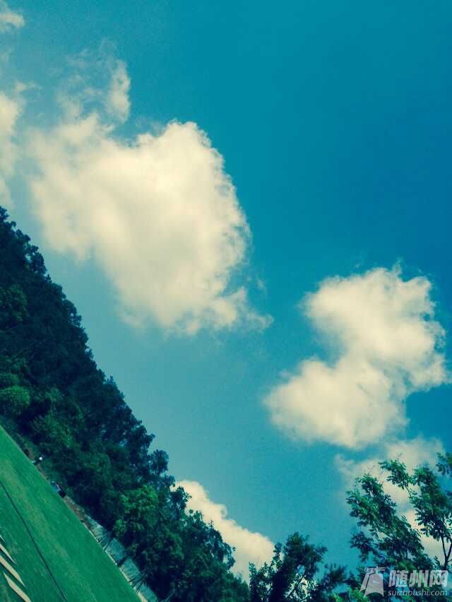 QQ图片20150514160922.jpg