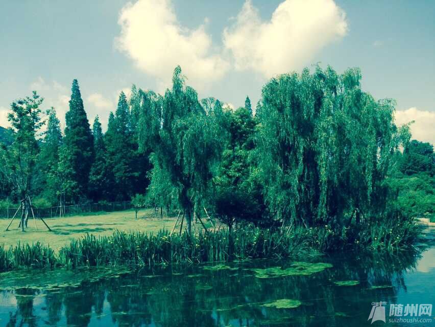 QQ图片20150514160908.jpg