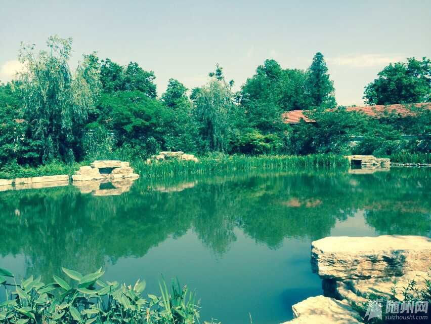 QQ图片20150516123542.jpg