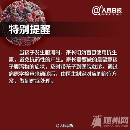 ŵ粡Ⱦ 