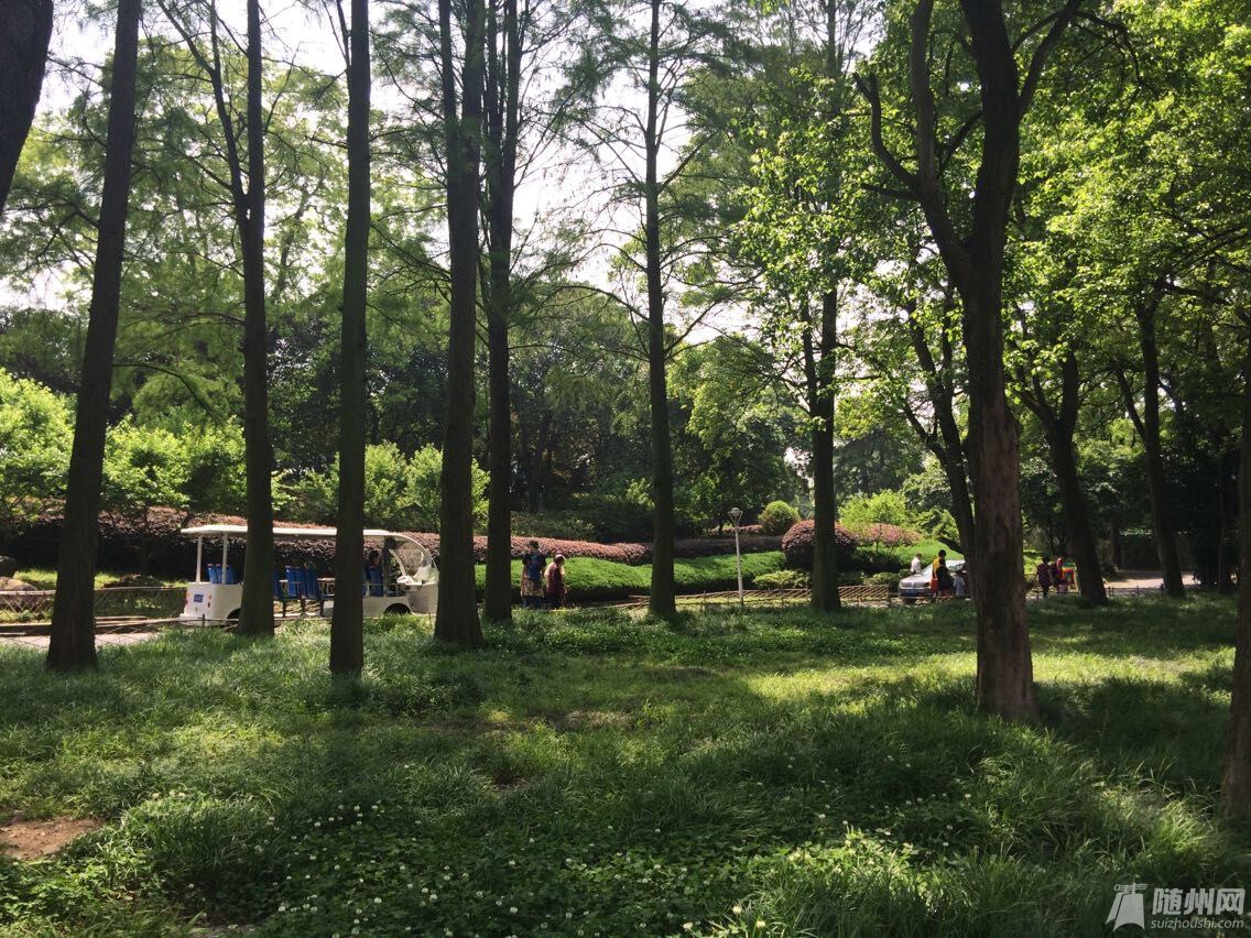 QQͼƬ20150503202639.jpg