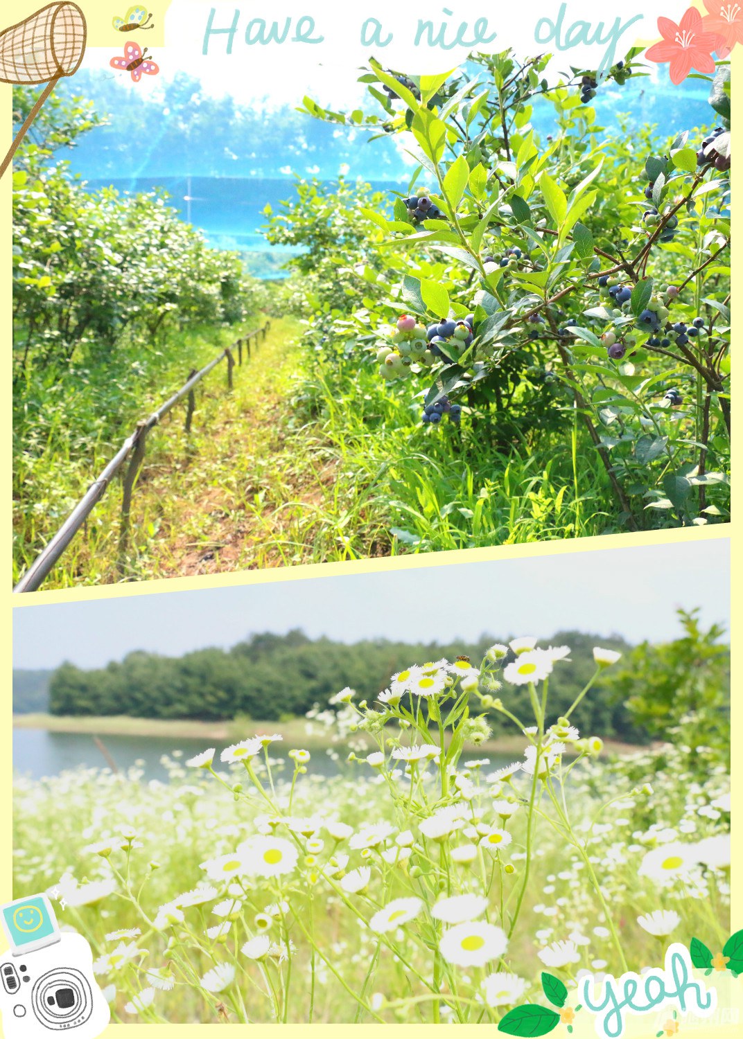 未命名_meitu_0.jpg