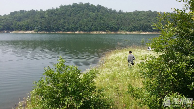 ݮƬ20150524_103142.jpg