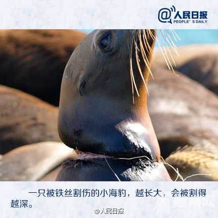 纣գ޵
