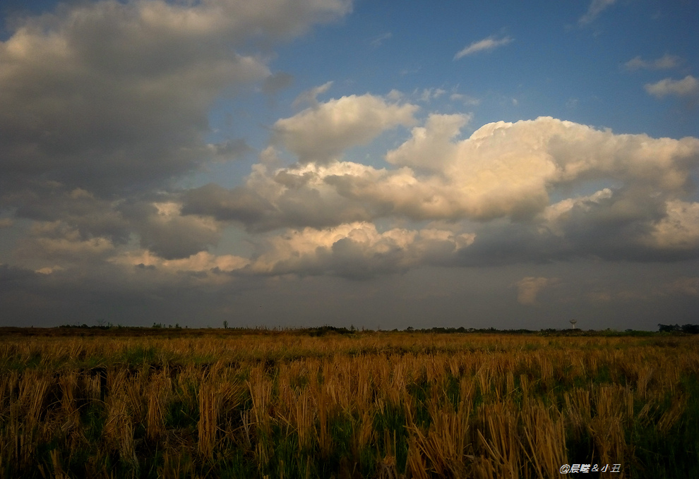 0000P50223-174105  2.jpg